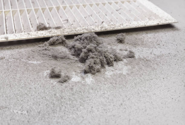Best Air Duct Cleaning Near Me  in Elwood, NY