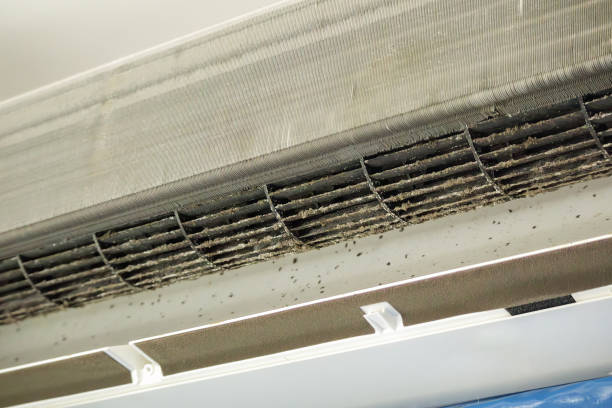 Best HVAC System Cleaning  in Elwood, NY